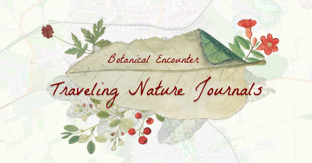 Nature Journal - Traveling Nature Journal